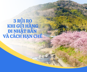 Việc gửi hàng đi Nhật Bản đòi hỏi sự chuẩn bị kỹ lưỡng và hiểu biết về các quy định.