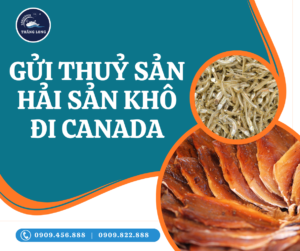 Dịch vụ gửi thuỷ, hải sản khô đi Canada của chúng tôi luôn có giá cả cạnh tranh.