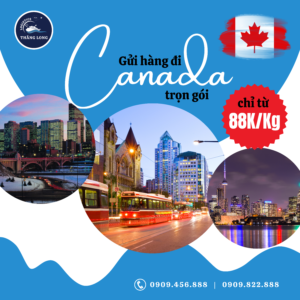 THĂNG LONG Logistics, với dịch vụ “Gửi hàng đi Canada trọn gói”, tự hào là cầu nối vững chắc cho mọi nhu cầu vận chuyển của bạn.