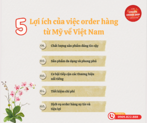 Order hàng từ Mỹ về Việt Nam mang lại nhiều lợi ích vượt trội, từ chất lượng sản phẩm đáng tin cậy, đa dạng và phong phú, cơ hội tiếp cận các thương hiệu nổi tiếng, tiết kiệm chi phí, đến dịch vụ uy tín và bảo vệ quyền lợi người tiêu dùng.